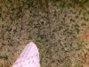 IMG_2243.JPG IMG_2243.JPG