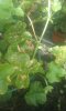 20170726_115017.jpg