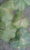 20170728_092729.jpg