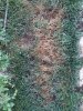 20170728_074936_resized.jpg 20170728_074936_resized.jpg