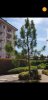 Screenshot_20170728-154019.jpg