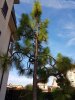 20170728_190508.jpg