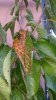 20170716_173648.jpg