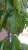 20170716_173806.jpg