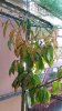 20170731_092214.jpg