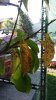 20170731_092229.jpg