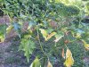IMG-20170805-WA0003.jpg