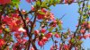 primavera2012.jpg primavera2012.jpg