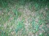 100_5717b.jpg