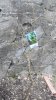 2012-ORTO (76).jpg