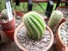DSCN0749.jpg