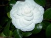 DSCN4180.jpg