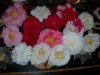 DSCN4177.jpg