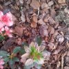 IMG_20120405_181248.jpg