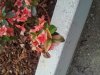 IMG_20120405_181048.jpg