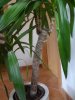 DSC00670bis.jpg