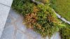upload_2017-8-8_10-36-26.jpeg