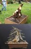 4_bonsai.jpg