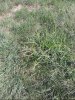 IMG_20170816_113818.jpg