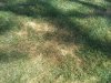 20170821_104637_resized.jpg 20170821_104637_resized.jpg
