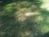20170821_104700_resized.jpg