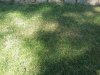 20170821_104731_resized.jpg
