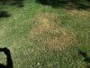 20170824_154141_resized.jpg