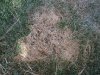 20170824_154238_resized.jpg