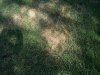 20170824_154226_resized.jpg 20170824_154226_resized.jpg