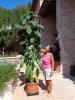 DSC01360.JPG