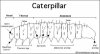 caterpillarprintout.shtml.jpg