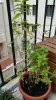 IMG_20170904_132940-min.jpg