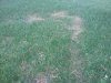20170903_123924_resized.jpg