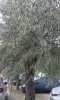 20170907_120404.jpg