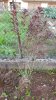 20170923_085014.jpg