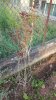 20170923_085210.jpg