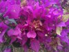 upload_2017-9-27_12-46-53.jpeg