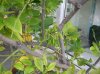 DSCN5310.jpg