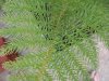 DSCN5318.jpg