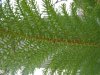 DSCN5320.jpg