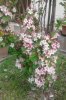 Schermata 2012-04-22 a 12.48.47.jpg