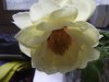 DSCF6040.jpg