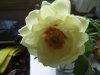 DSCF6038.jpg