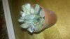 2012-04-25_22-58-32_66.jpg