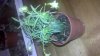 2012-04-25_22-58-04_812.jpg