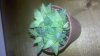 2012-04-25_22-58-16_313.jpg