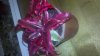 2012-04-25_22-58-46_452.jpg