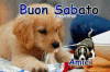 5749379_d1549.gifbuonsab1.gif