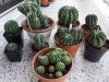 20171012_120848.jpg