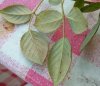 IMG_20171025_173024.jpg
